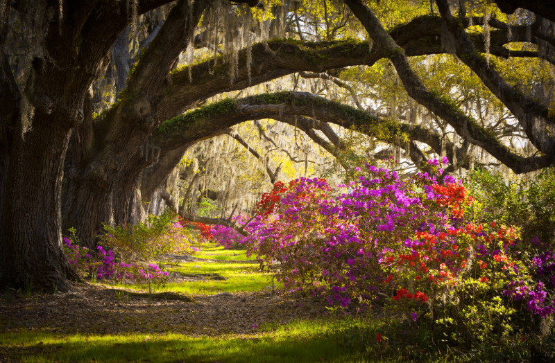 Charleston Peninsula (Downtown)